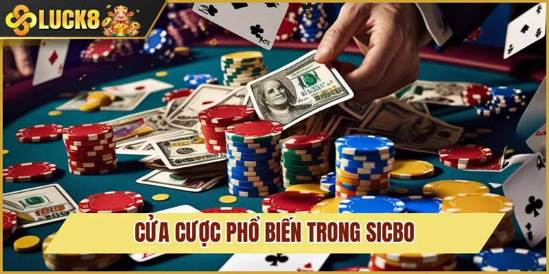 Cách Chơi Sicbo Luck8: Hướng Dẫn Tất Tần Tật Từ A - Z 3 Cửa cược phổ biến cho người chơi Sicbo