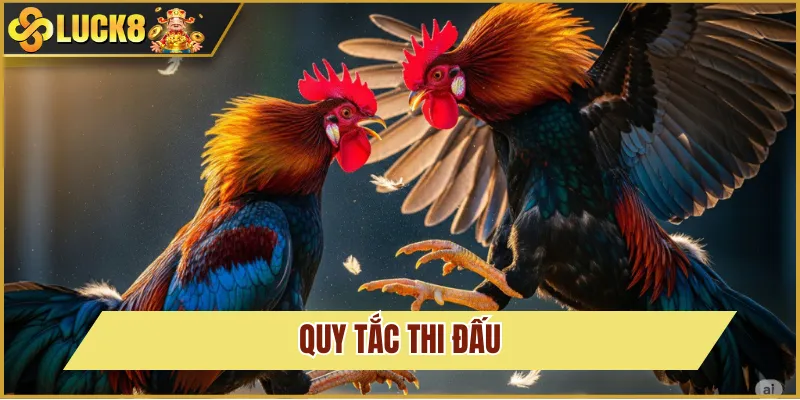 quy tắc cược đá gà C2